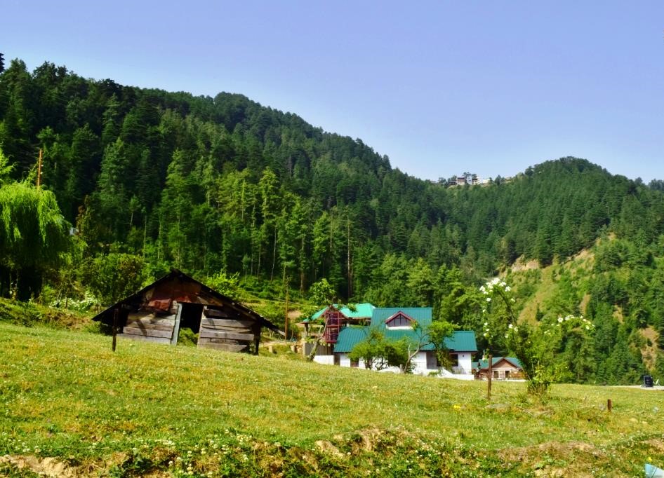 Trance himachal Dharamshala Dalhousie Packages