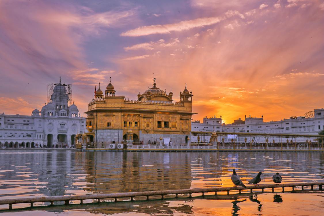 Trance Himachal Exotic Himachal With Golden Temple